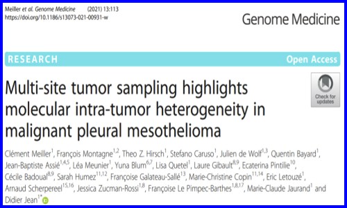 文獻(xiàn)解讀 | 多組學(xué)聯(lián)合的腫瘤機(jī)制研究