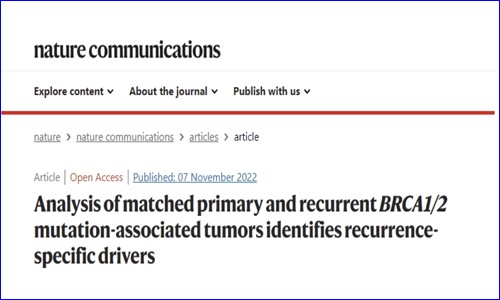 多組學(xué)測(cè)序 | BRCA1/ 2 基因突變揭示腫瘤復(fù)發(fā)的潛在驅(qū)動(dòng)因素。