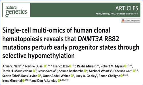 單細(xì)胞多組學(xué)技術(shù) | 解析 DNMT3A R882 突變?cè)谌祟惪寺≡煅械挠绊?></a></div>
                        <div   id=