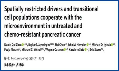 文獻(xiàn)解讀 | 未治療和化療耐藥胰腺癌中空間受限的驅(qū)動(dòng)因子和過(guò)渡細(xì)胞群與微環(huán)境的互作