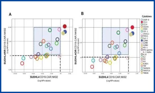 蛋白質(zhì)組學(xué) + 轉(zhuǎn)錄組學(xué) | 細(xì)胞互作機(jī)制、分泌組學(xué)、標(biāo)志物篩選一次搞定