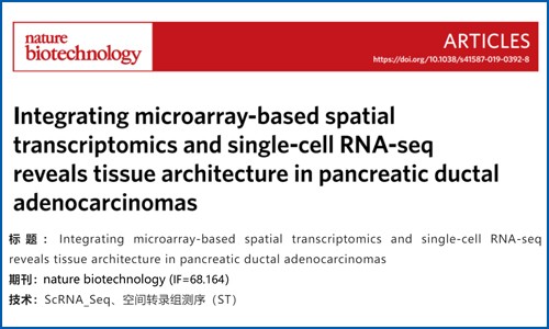 文獻解讀 | 結(jié)合基于微陣列的空間轉(zhuǎn)錄組和單細(xì)胞 RNA-seq 揭示胰腺導(dǎo)管腺癌的組織結(jié)構(gòu)