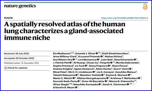 文獻解讀 |Nat Genet 發(fā)布迄今最全面的人類肺細(xì)胞空間圖譜，首次揭示腺體相關(guān)的免疫生態(tài)位