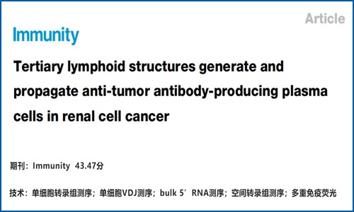 文獻解讀 | 腎透明細(xì)胞腫瘤三級淋巴結(jié)構(gòu)產(chǎn)生抗腫瘤活性的漿細(xì)胞并促進其傳播