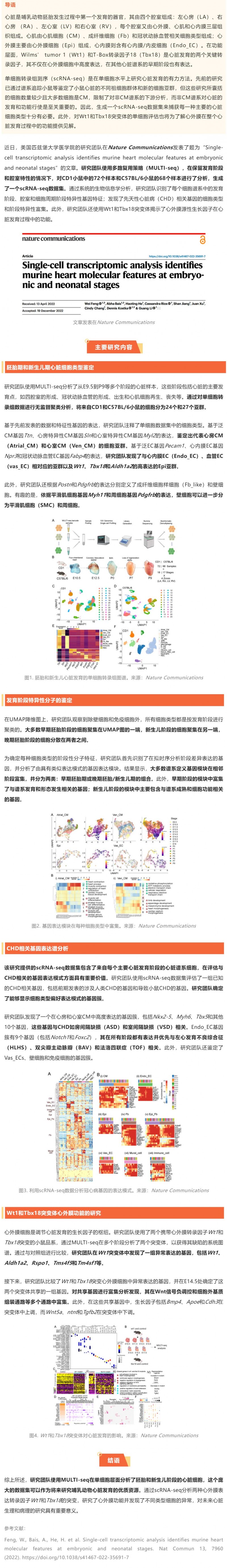 2023-01-31-Nat-Commun 發(fā)表胚胎及新生兒期小鼠心臟單細(xì)胞轉(zhuǎn)錄組圖譜，揭示先天性心臟病相關(guān)基因的細(xì)胞類型及
