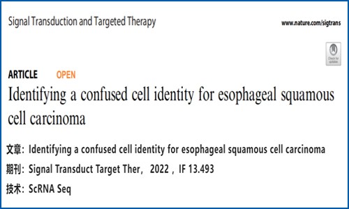 文獻解讀 | 鑒別食管鱗狀細(xì)胞癌的混淆細(xì)胞