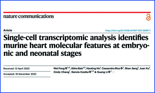 文獻(xiàn)解讀 |Nat Commun 發(fā)表胚胎及新生兒期小鼠心臟單細(xì)胞轉(zhuǎn)錄組圖譜，揭示先天性心臟病相關(guān)基因的細(xì)胞類型及階段特異性富集