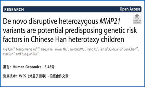 項(xiàng)目文章 |MMP21 基因雜合子變異與中國(guó)漢族兒童可遺傳內(nèi)臟異位綜合征相關(guān)