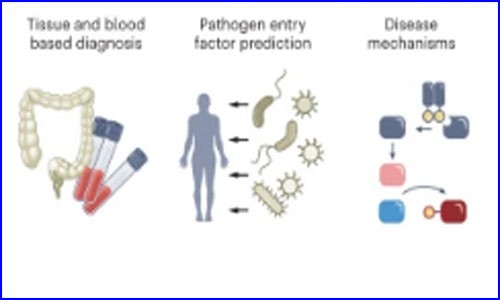 文獻(xiàn)解讀 | Nature Medicine 觀點(diǎn)文章人類細(xì)胞圖譜對(duì)醫(yī)學(xué)的影響
