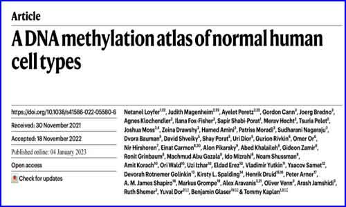文獻(xiàn)解讀 | Nature 人類細(xì)胞類型 DNA 甲基化圖譜揭示不同個(gè)體相同細(xì)胞類型的甲基化模式極其相似