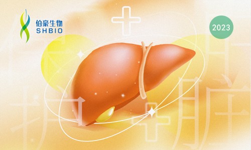 文獻(xiàn)解讀 |scRNA-seq 揭示 HBV 感染患者與疾病階段相關(guān)的肝內(nèi)和外周免疫特征