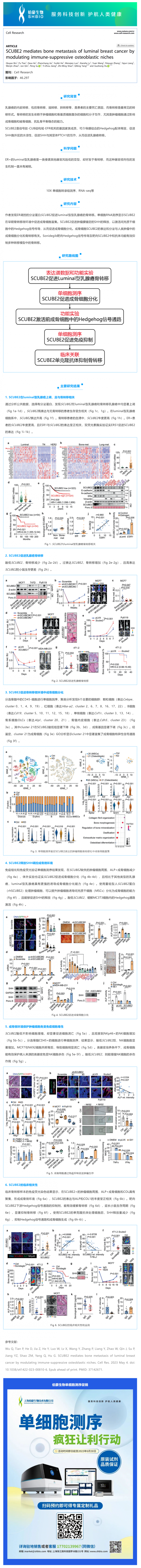 單細(xì)胞項(xiàng)目文章 _ SCUBE2 調(diào)控免疫抑制的成骨細(xì)胞微環(huán)境介導(dǎo) luminal 型乳腺癌的骨轉(zhuǎn)移