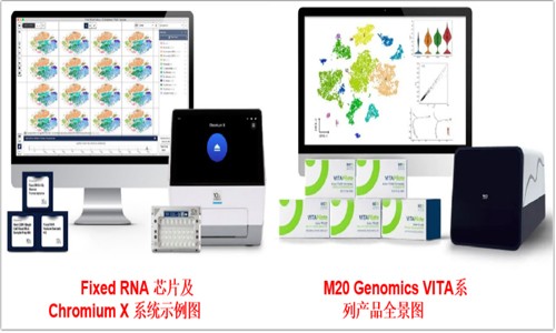 用證據(jù)說話 | 實測 FFPE 樣本進行單細胞測序狠好使！