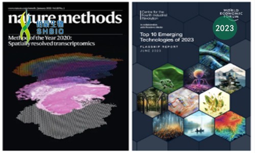 2023 年空間組學(xué)技術(shù)再獲殊榮，伯豪生物再添空間組學(xué)研究利器——Xenium 亞細(xì)胞空間原位分析技術(shù)！