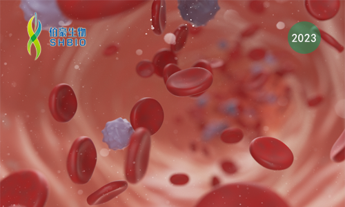 mRNA-seq 項目文章 | 棕櫚酰轉(zhuǎn)移酶 ZDHHC21 調(diào)節(jié)氧化磷酸化誘導 AML 分化阻滯和干性