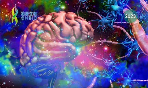 里程碑 | Science 系列 21 篇論文齊發(fā)，共繪最新最全“腦細胞圖譜”