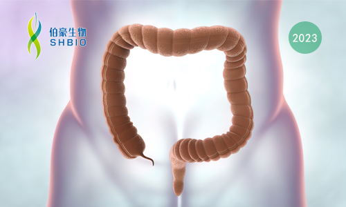 mRNA-seq 項目文章 | EIF3f 通過增強結(jié)直腸癌去泛素化活性介導 SGOC 通路重編程