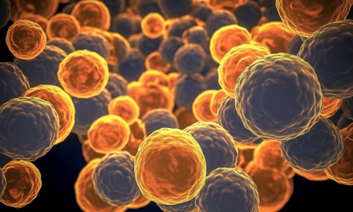 文獻解讀 | 具有細胞毒性潛能的腫瘤駐留 T 細胞與頭頸癌患者的新輔助抗 PD- 1 反應(yīng)有關(guān)