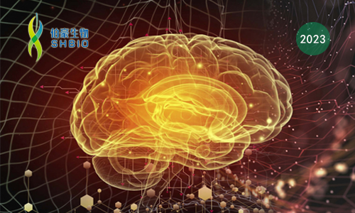 文獻解讀 | 單細胞分辨率下人類大腦皮層發(fā)育的基因調(diào)控動力學