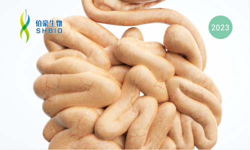 mRNA-seq 項目文章 | 小腸類器官治療缺血性腸損傷的作用及機制研究