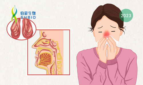 客戶新文速遞 | 轉(zhuǎn)錄組 + 蛋白組學(xué)共同揭示慢性鼻竇炎中鼻息肉和鼻液之間蛋白質(zhì)及基因表達(dá)特征