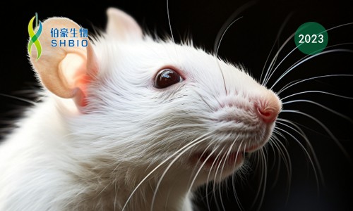 ?Sci Adv| 基于高通量單細胞分析揭示小鼠整個生命周期的線粒體 DNA 異質(zhì)性