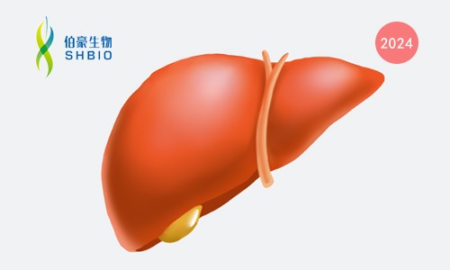 文獻(xiàn)解讀 | 基于人工智能的病理學(xué)特征可作為標(biāo)志物預(yù)測(cè)阿替利珠單抗 - 貝伐珠單抗治療肝癌的敏感性