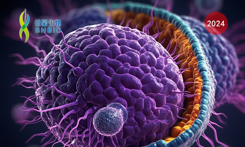 文獻(xiàn)解讀 | 新輔助放化療后增強(qiáng)的抗腫瘤免疫力介導(dǎo)了切除胰腺癌女性的良好預(yù)后