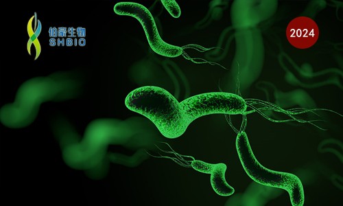 CRISPR 智庫(kù) | CRISPR 關(guān)注寵物健康——人畜共患幽門螺桿菌現(xiàn)場(chǎng)快速檢