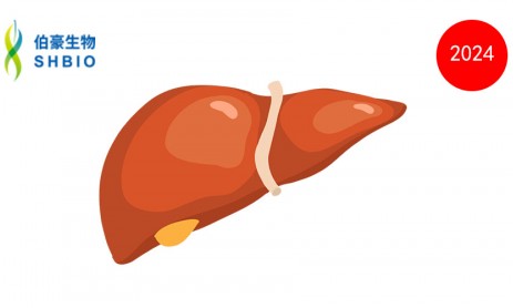 文獻(xiàn)解讀 | 人肝臟單核 RNA 測(cè)序表明 BMPR2、GDF15、精氨酸和雌激素與門脈高壓有關(guān)