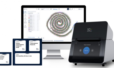 伯豪生物首例 HD 高分辨率空間轉(zhuǎn)錄組實(shí)驗(yàn)已順利完成