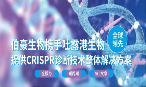 CRISPR 智庫(kù) | 不依賴 PAM 序列，CRISPR-Cas12a 能超特異性靶向 dsDNA 嗎？