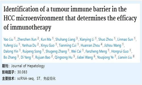 文獻(xiàn)解讀 | HCC 微環(huán)境中腫瘤免疫屏障對(duì)免疫治療療效的影響