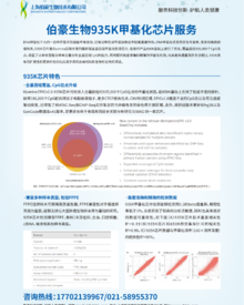 單頁 |935K 甲基化芯片服務(wù)