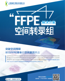 單頁 |FFPE 空間轉(zhuǎn)錄組