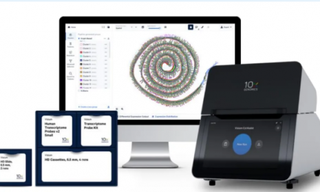 伯豪生物首例 HD 高分辨率空間轉(zhuǎn)錄組實(shí)驗(yàn)已順利完成