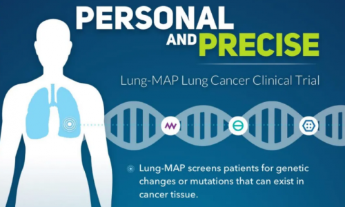 臨床案例 |Olink 蛋白組學(xué)助力 Lung-MAP 肺癌治療獲益患者免疫特征研究