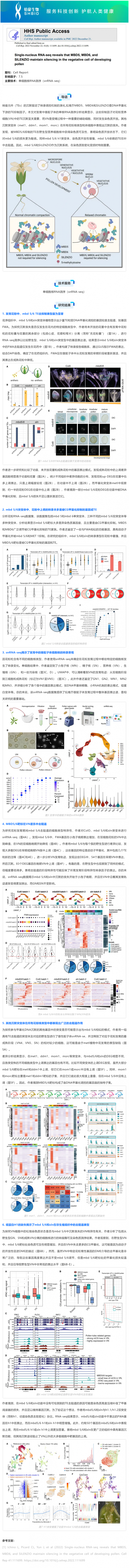 2024-08-16 文獻(xiàn)解讀 _ 單細(xì)胞核 RNA 測(cè)序表明 MBD5、MBD6 和 SILENZIO 在發(fā)育花粉的營(yíng)養(yǎng)細(xì)胞中沉默基