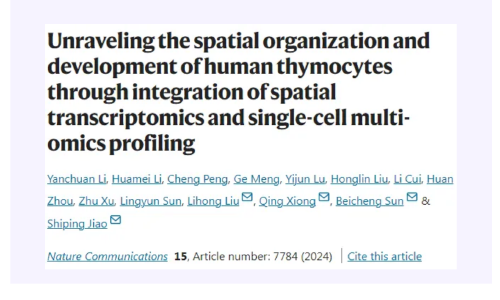 Nat Commun| 空間轉(zhuǎn)錄組學(xué)和單細(xì)胞多組學(xué)整合分析構(gòu)建人類胸腺細(xì)胞發(fā)育空間圖譜