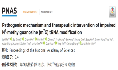 項目文章 | 單細胞核轉(zhuǎn)錄組測序揭示 N7- 甲基鳥苷酸（m7G）tRNA 修飾減弱的致病機理