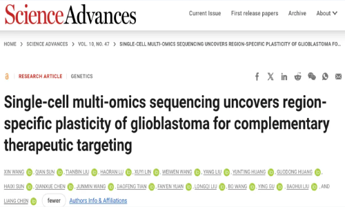 Sci Adv | 陳亮 / 劉寶輝 / 顧穎利用單細胞多組學探秘膠質(zhì)瘤的空間異質(zhì)性