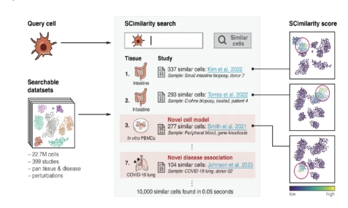 人類細胞圖譜的計算技術(shù) - 細胞類型注釋