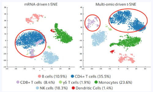 國自然上分秘籍 | 單細(xì)胞轉(zhuǎn)錄組聯(lián)合膜蛋白打出免疫研究“組合拳”