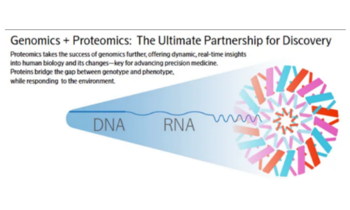 新品發(fā)布 |Olink?? Reveal 基于 NGS 的新一代蛋白組學