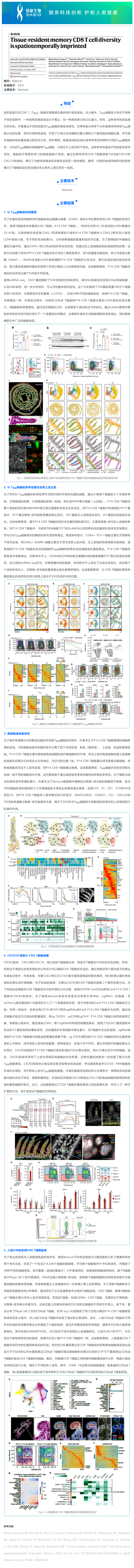 單細胞空間原位檢測技術丨組織駐留記憶 CD8 T 細胞多樣性具有時空印記