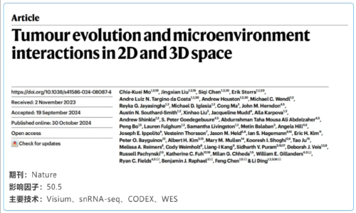 單細胞空間原位檢測技術丨空間組學重構 2D 和 3D 腫瘤演化與微環(huán)境互作