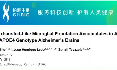 單細(xì)胞空間原位檢測(cè)技術(shù) | 耗竭樣小膠質(zhì)細(xì)胞在老年和 APOE4 型阿爾茨海默癥患者大腦中富集