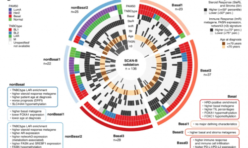 Nat Commun | 瑞典科學(xué)家繪制“乳腺癌之王”DNA 甲基化圖譜，揭示兩種表觀遺傳亞型