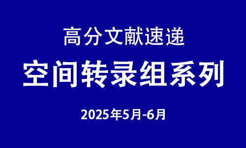 高分文獻(xiàn)速遞 | 空間轉(zhuǎn)錄組系列（5- 6 月）