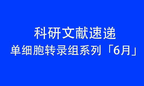 2025 頂刊文獻速遞 _ 單細胞轉錄組系列（6 月）